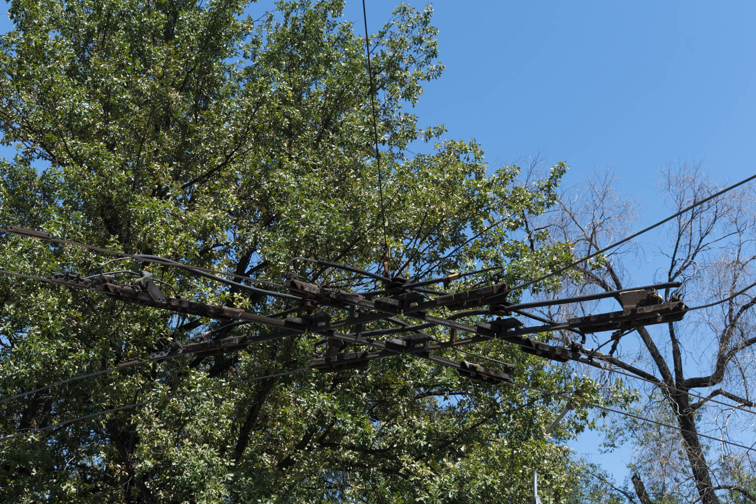 Алматы — Энергохозяйство