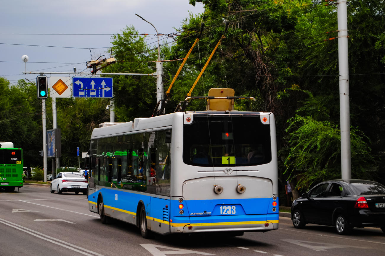 Алматы, YoungMan JNP6120GDZ (Neoplan Kazakhstan) № 1233