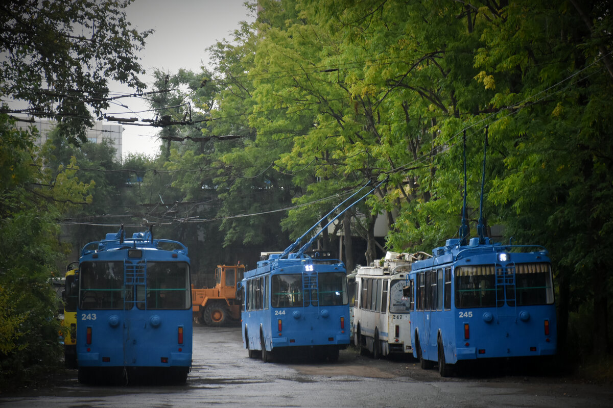 Владивосток, ЗиУ-682Г-016.02 № 243; Владивосток, ЗиУ-682Г-016.02 № 244; Владивосток, ЗиУ-682Г-016.02 № 245