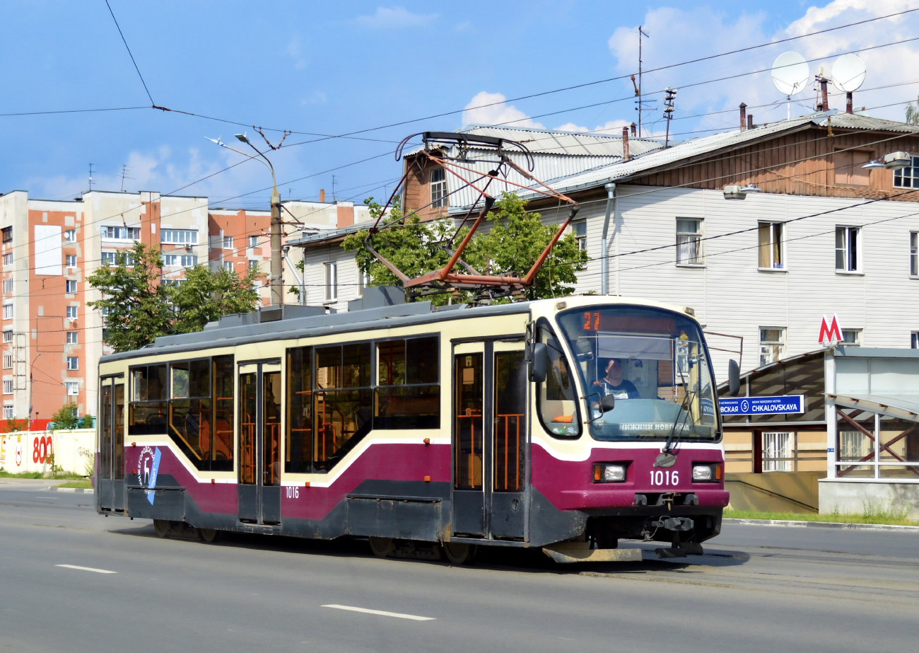 Žemutinis Naugardas, 71-407 nr. 1016