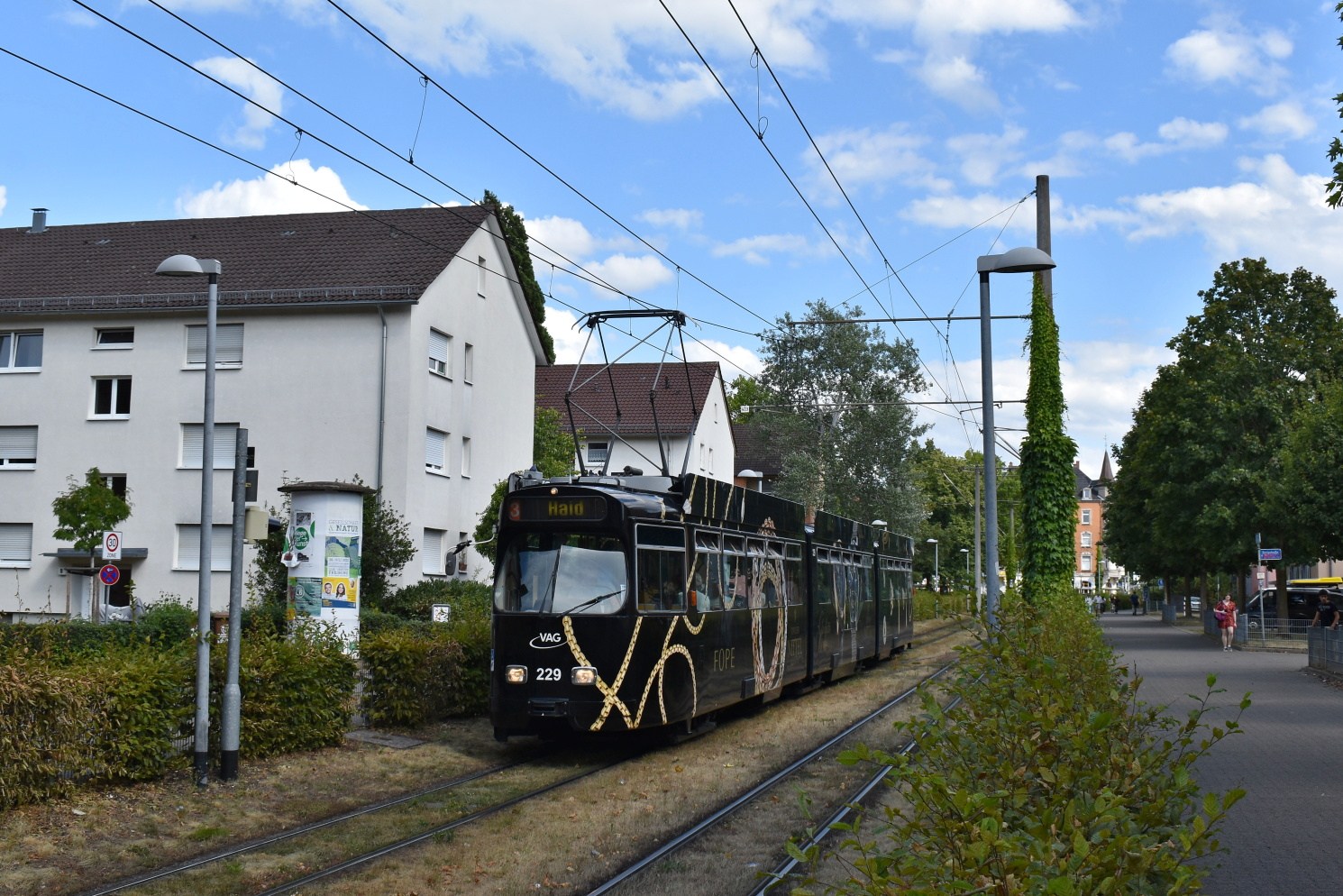Фрайбург-в-Брайсгау, Duewag GT8NF № 229