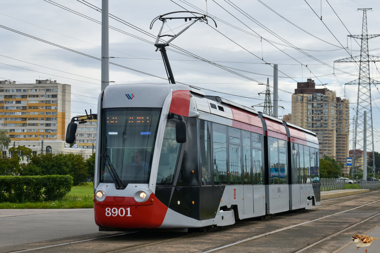 Санкт-Петербург, 71-801 (Alstom Citadis 301 CIS) № 8901