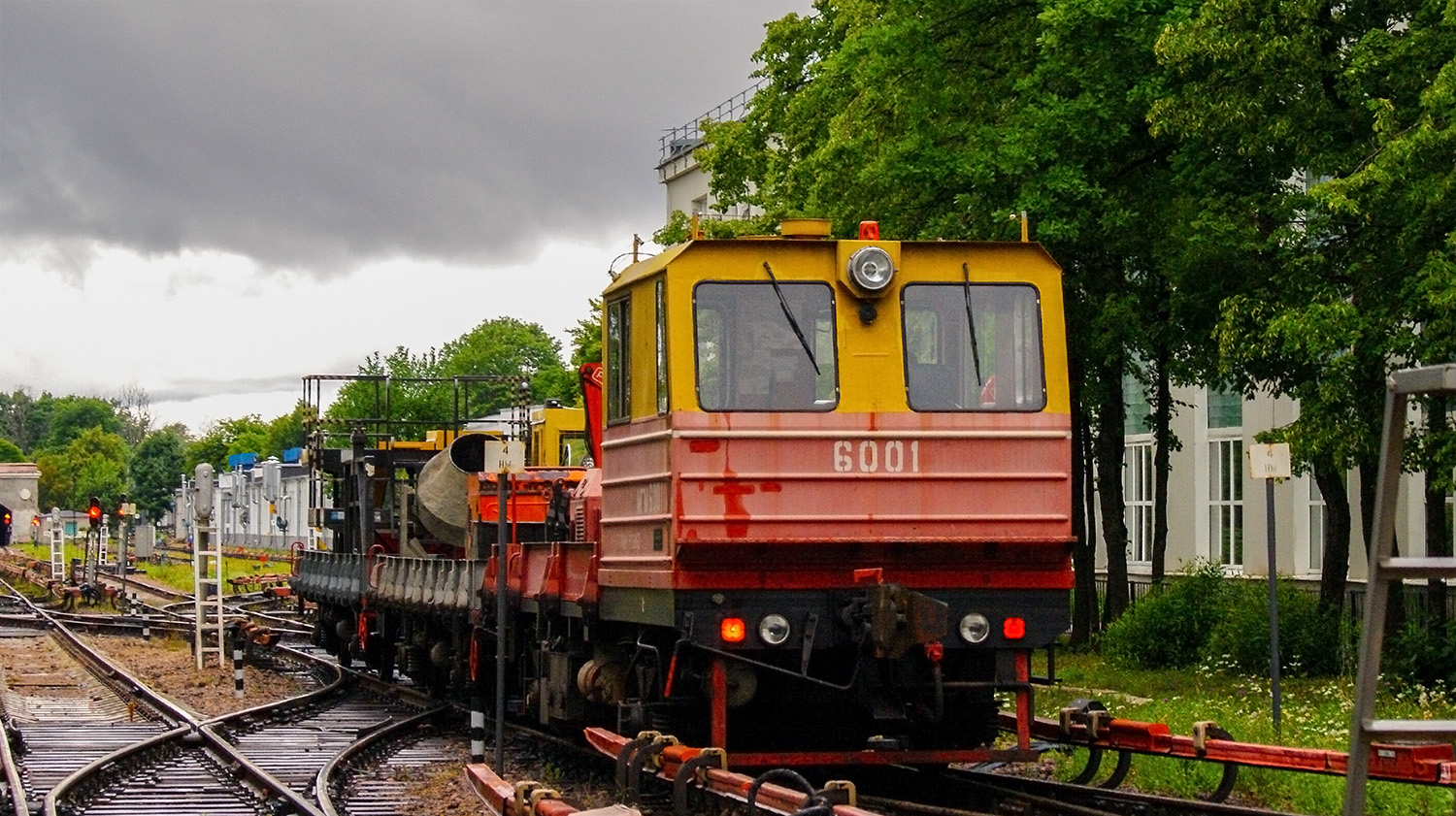 Санкт-Петербург, АГМум № 6001