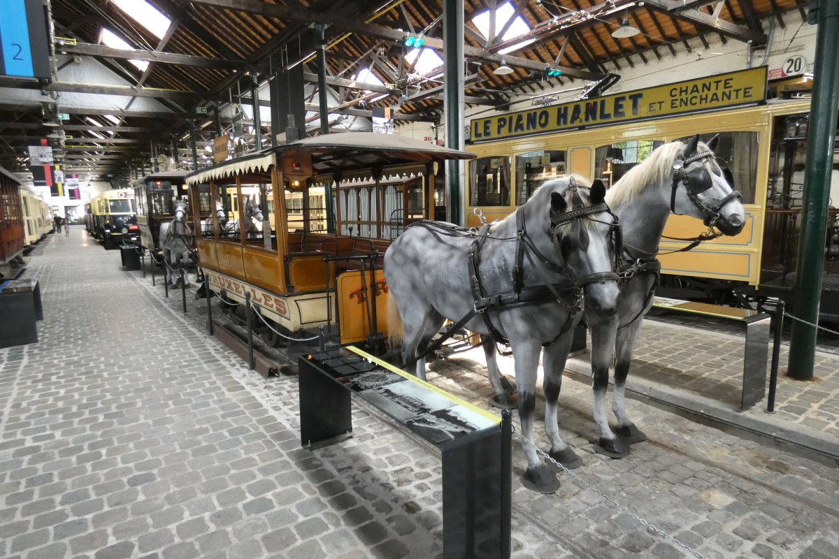 Брюссель, Конка № 31