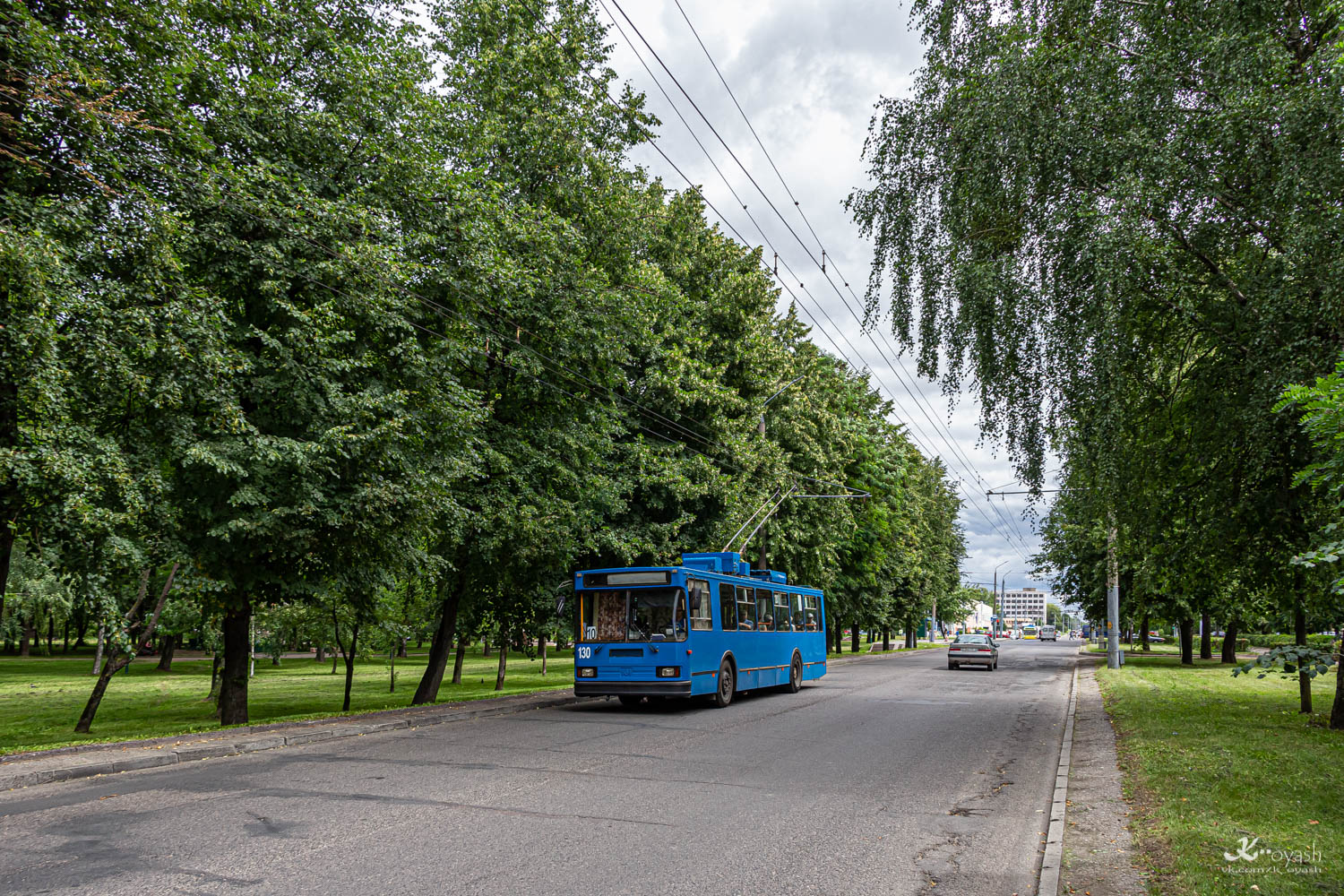 Гродно, БКМ 20101 № 130