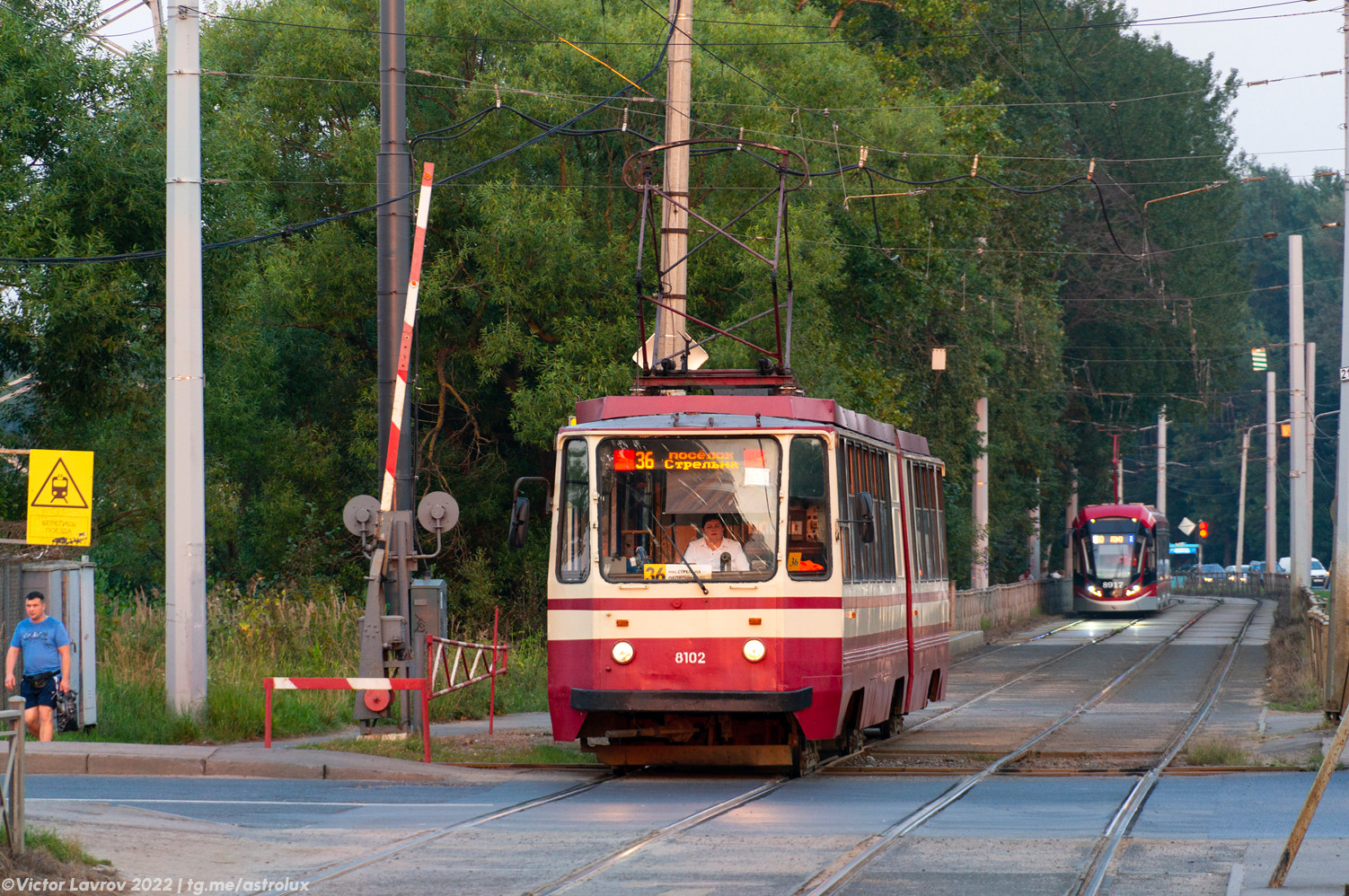 Санкт-Петербург, 71-147К (ЛВС-97К) № 8102