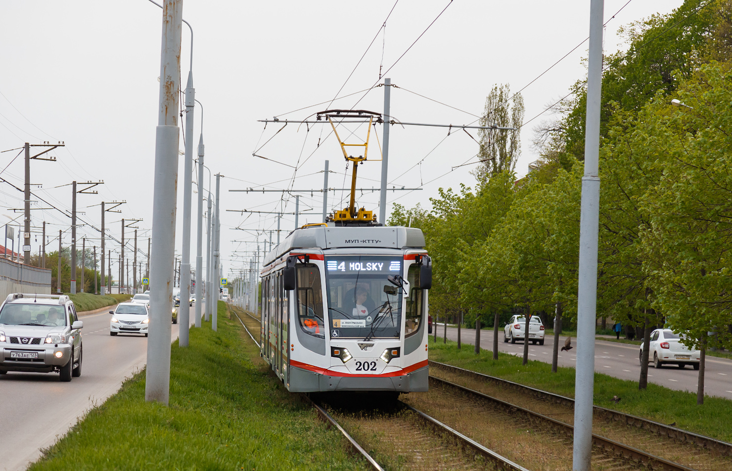 Краснодар, 71-631-03 № 202