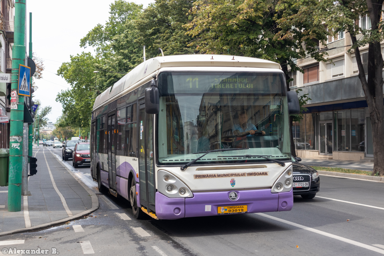 Timișoara, Škoda 24Tr Irisbus Citelis # 3019