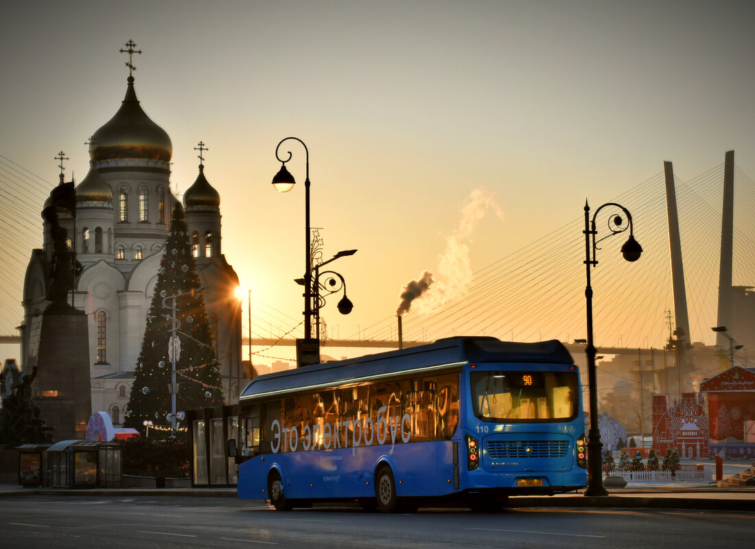 Владивосток, ЛиАЗ-6274 № 110