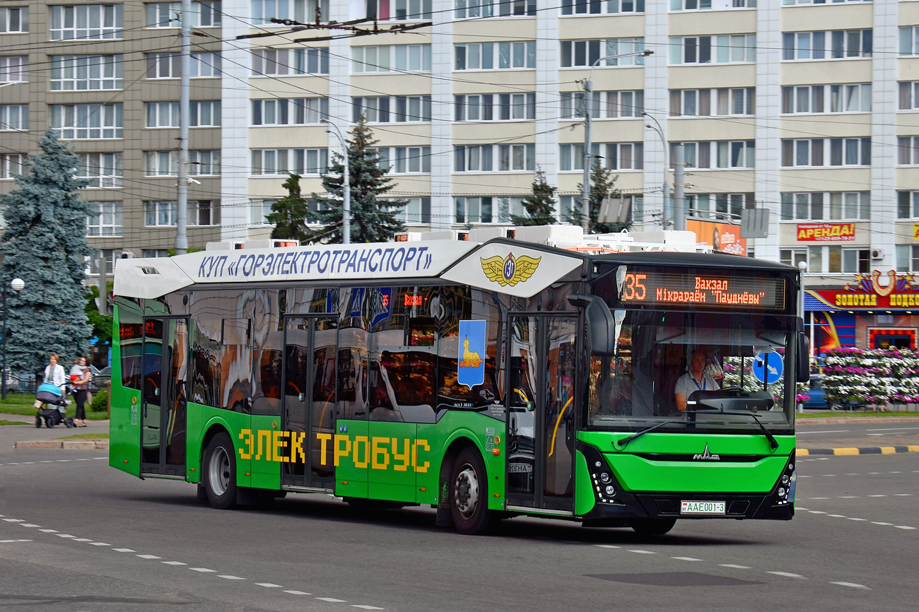 Гомель, МАЗ-303Е10 № 1858