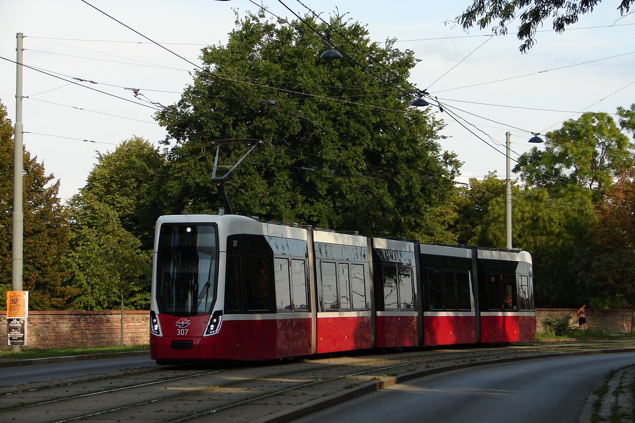 Вена, Bombardier Flexity Wien (Type D) № 307; Вена — Tramwaytag 2022 Вена, Bombardier Flexity Wien (Type D) № 307; Вена — Tramwaytag 2022