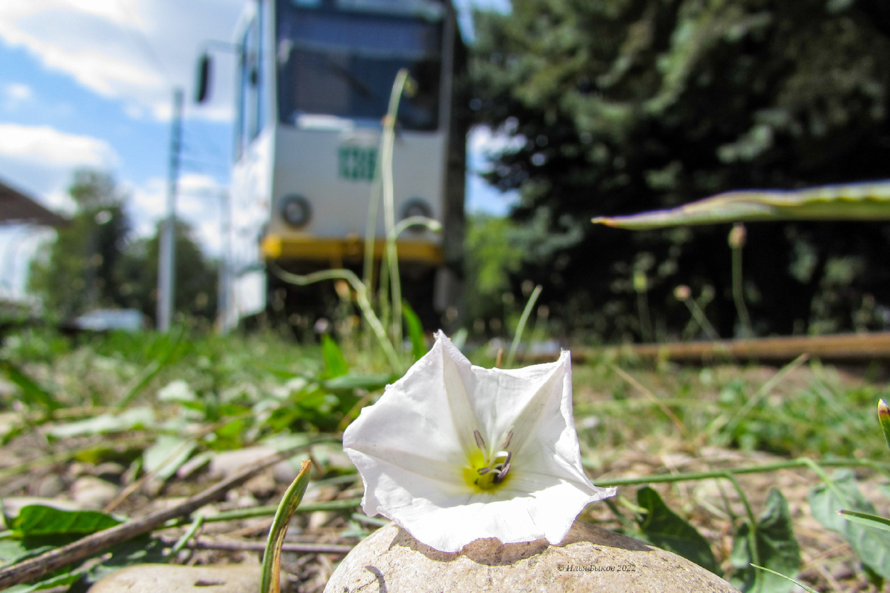 Фотозарисовки