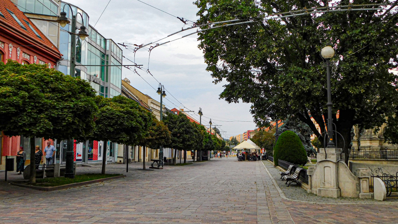 Прешов — Троллейбусные линии и инфраструктура