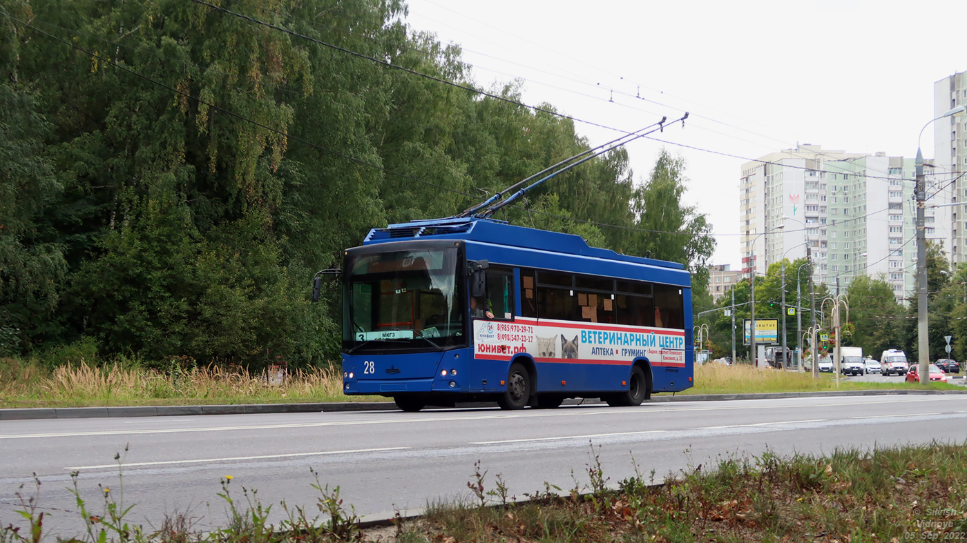 Vidnoïe, MAZ-206T N°. 28