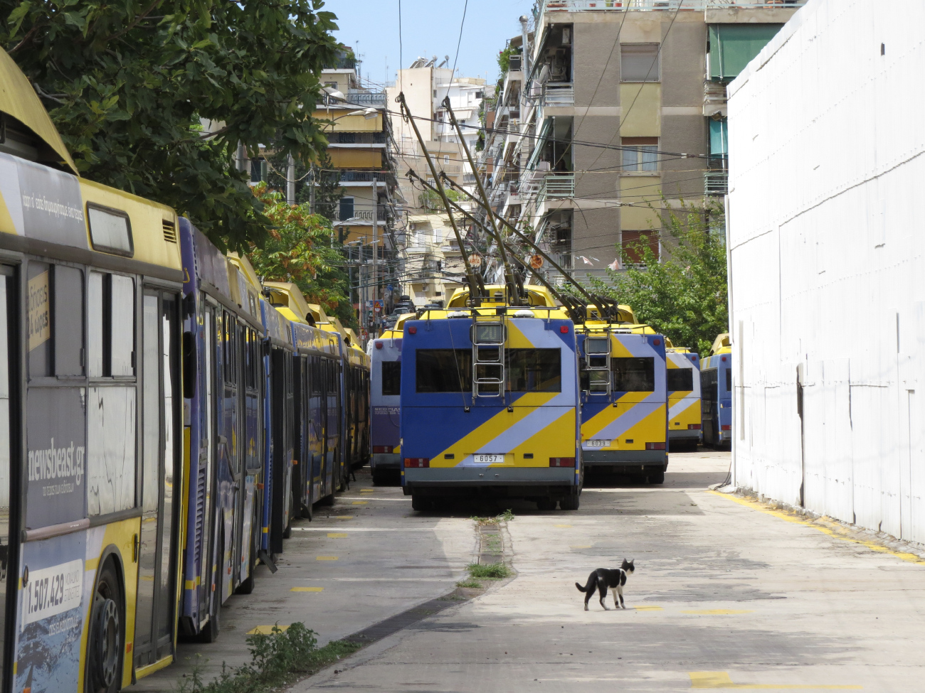 Athens, Neoplan N4216 (ELVO) № 6057; Athens, Neoplan N4216 (ELVO) № 6039; Transport and animals; Athens — Trolleybuses — lines and infrastructure
