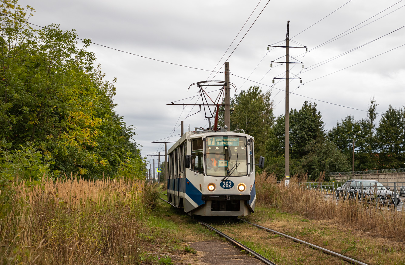 Смоленск, 71-608КМ № 262