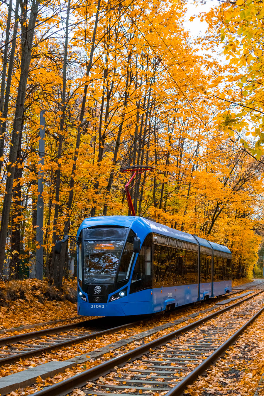 Москва, 71-931М «Витязь-М» № 31093