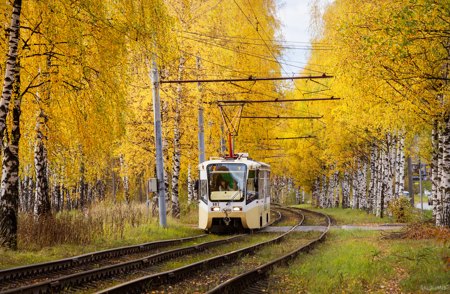 Ярославль, 71-619КТ № 187