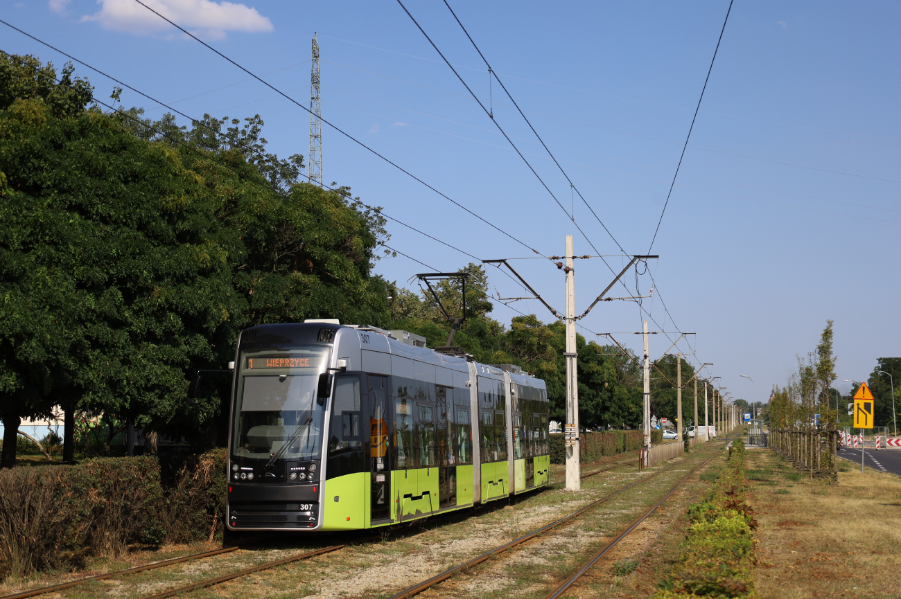 Гожув-Велькопольский, PESA Twist 2015N № 307