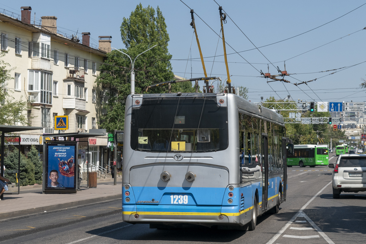 Алматы, YoungMan JNP6120GDZ (Neoplan Kazakhstan) № 1239