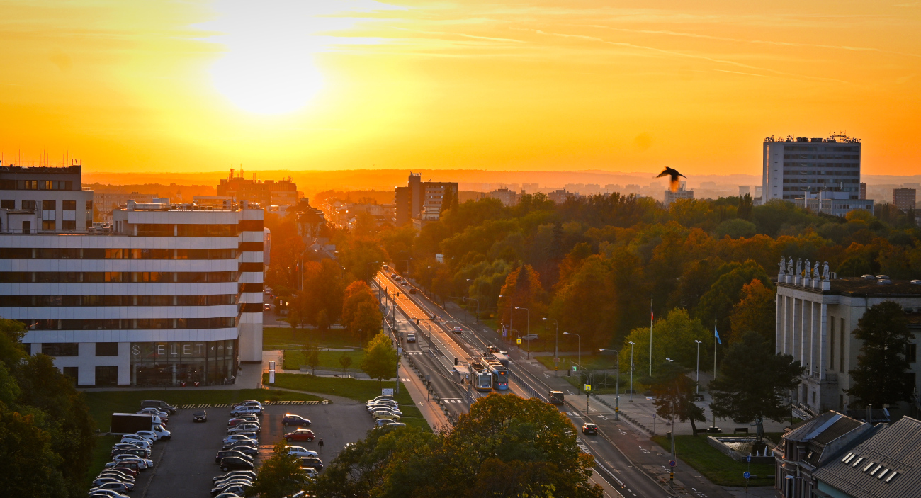 Острава — Трамвайные линии и инфраструктура; Транспорт и животные; Острава — Фото с Tieto Towers Острава — Трамвайные линии и инфраструктура; Транспорт и животные; Острава — Фото с Tieto Towers