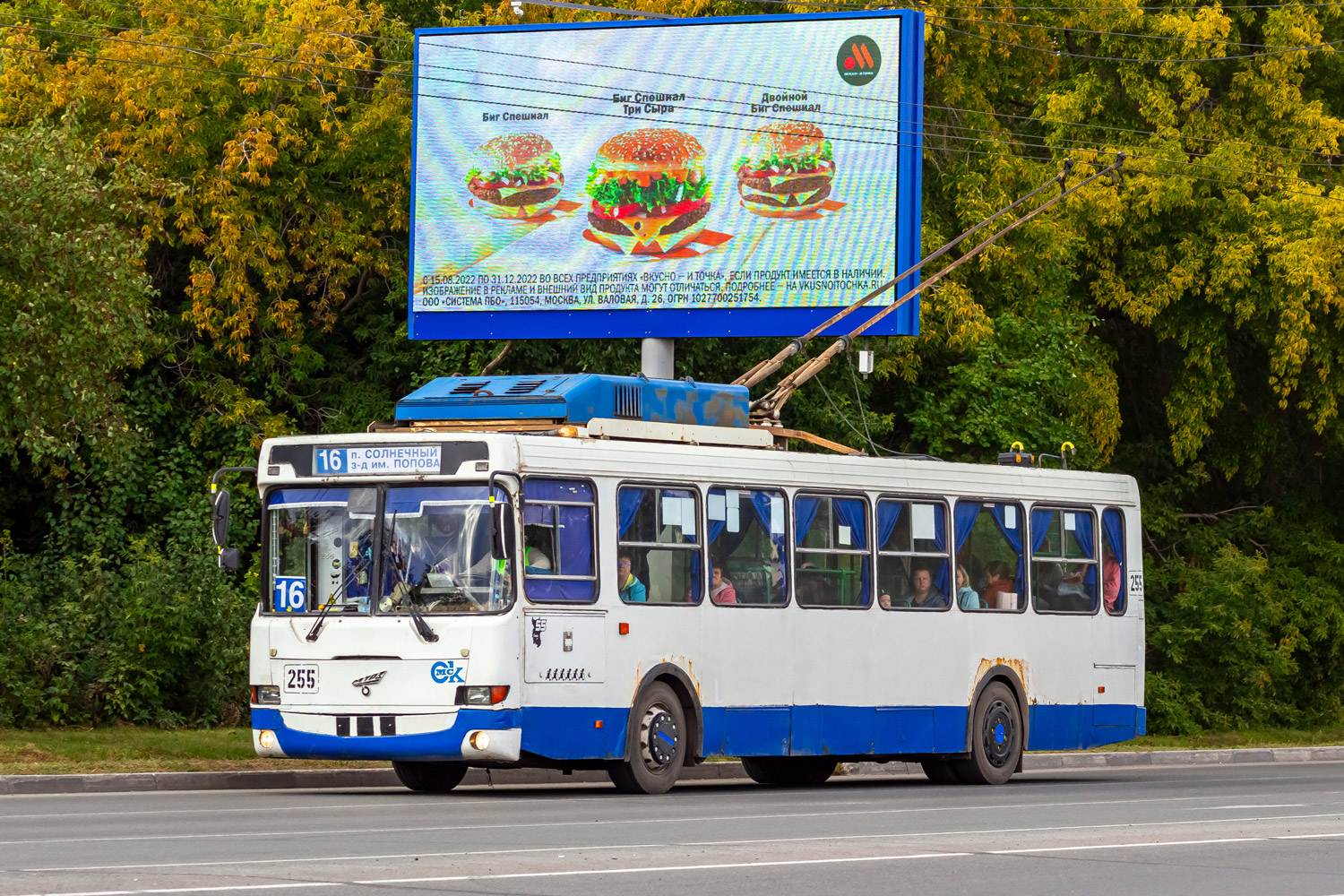 Омбы, MTrZ-5279-0000012 № 255