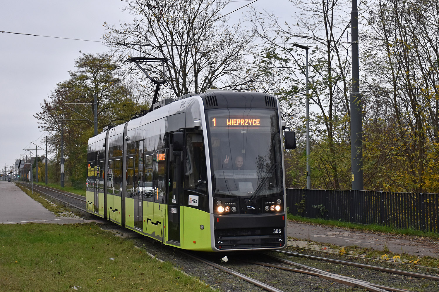 Гожув-Велькопольский, PESA Twist 2015N № 306