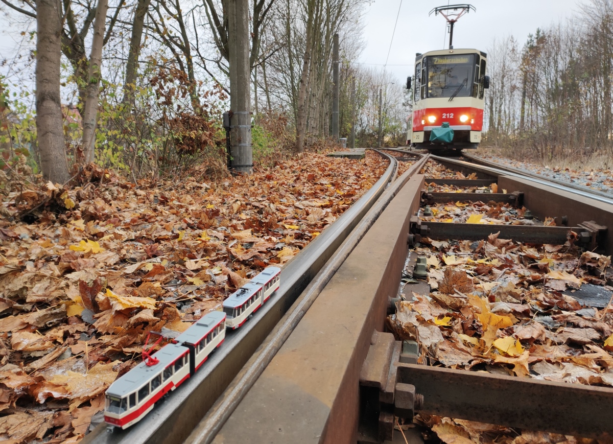 Франкфурт-на-Одере, Tatra KT4DM № 212; Моделизм