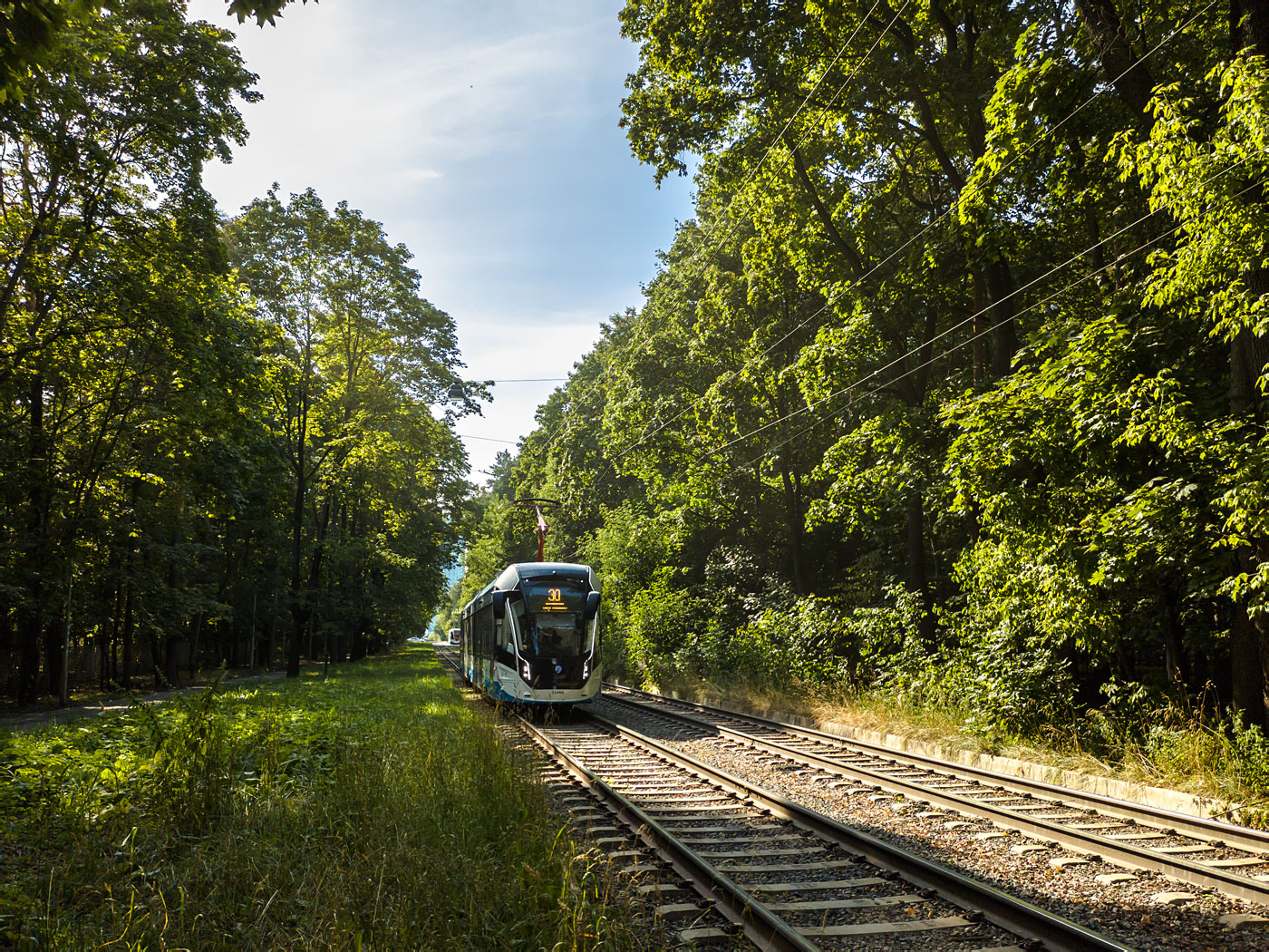Москва, 71-931М «Витязь-М» № 31446