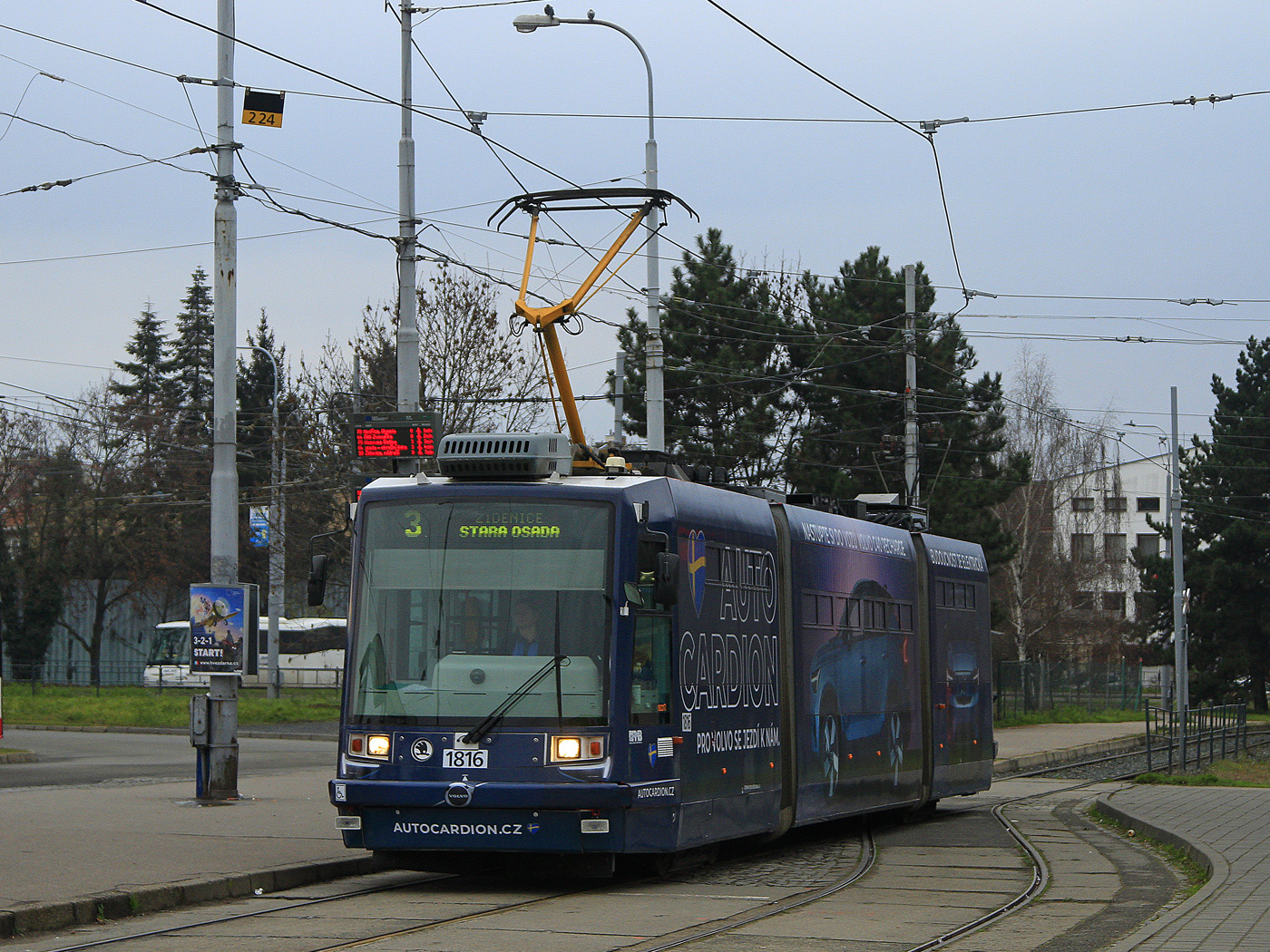 Брно, Škoda 03T6 Anitra № 1816