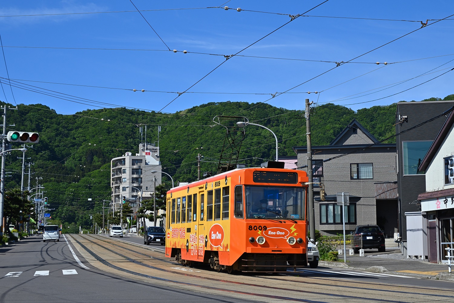 Хакодате, Hakodate series 8000 № 8009