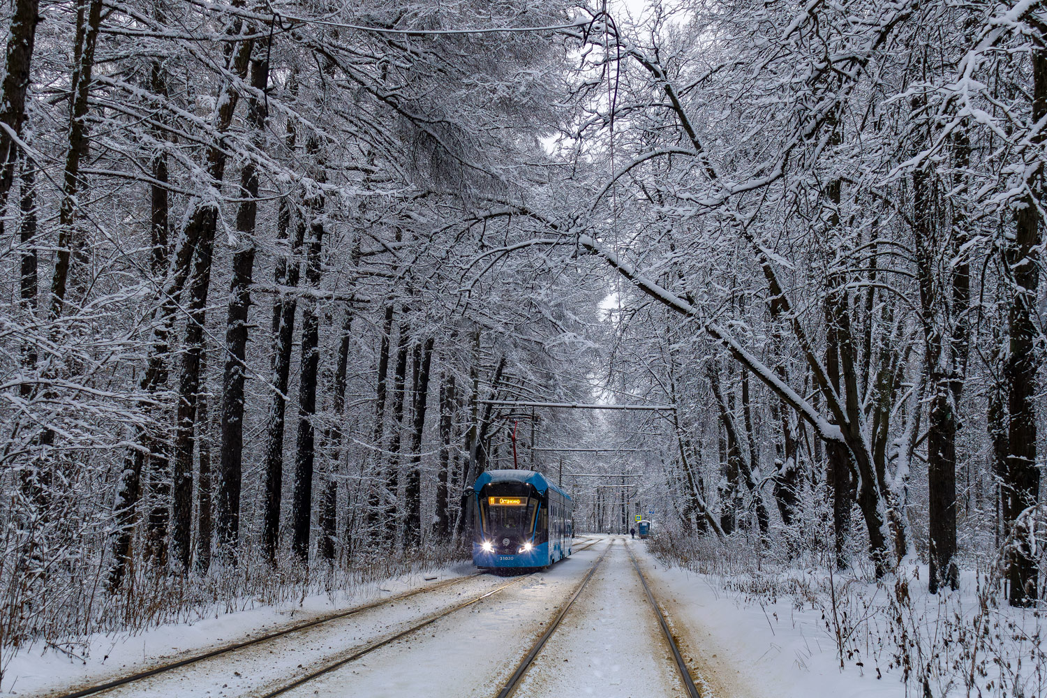 Москва, 71-931М «Витязь-М» № 31030