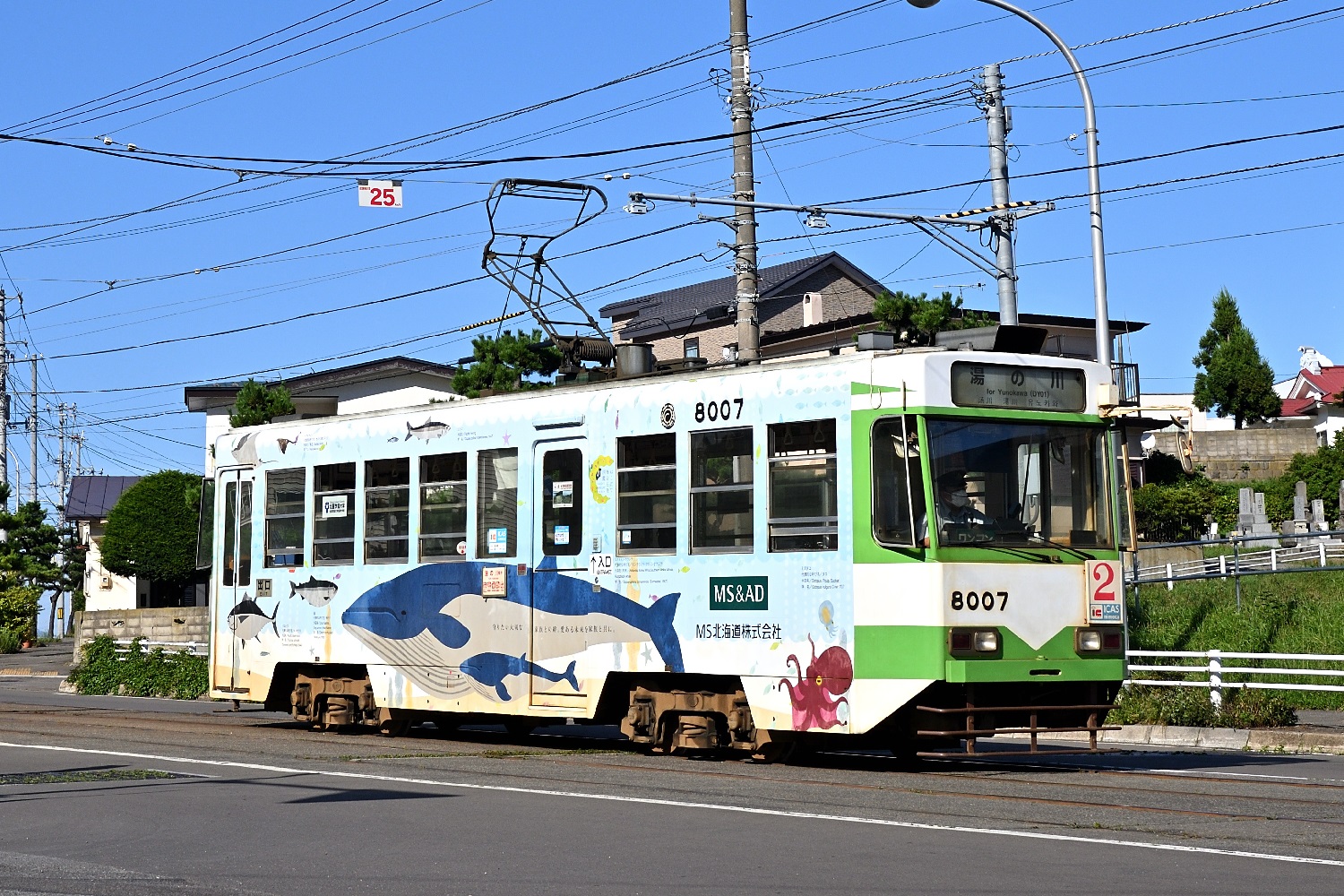 Хакодате, Hakodate series 8000 № 8007