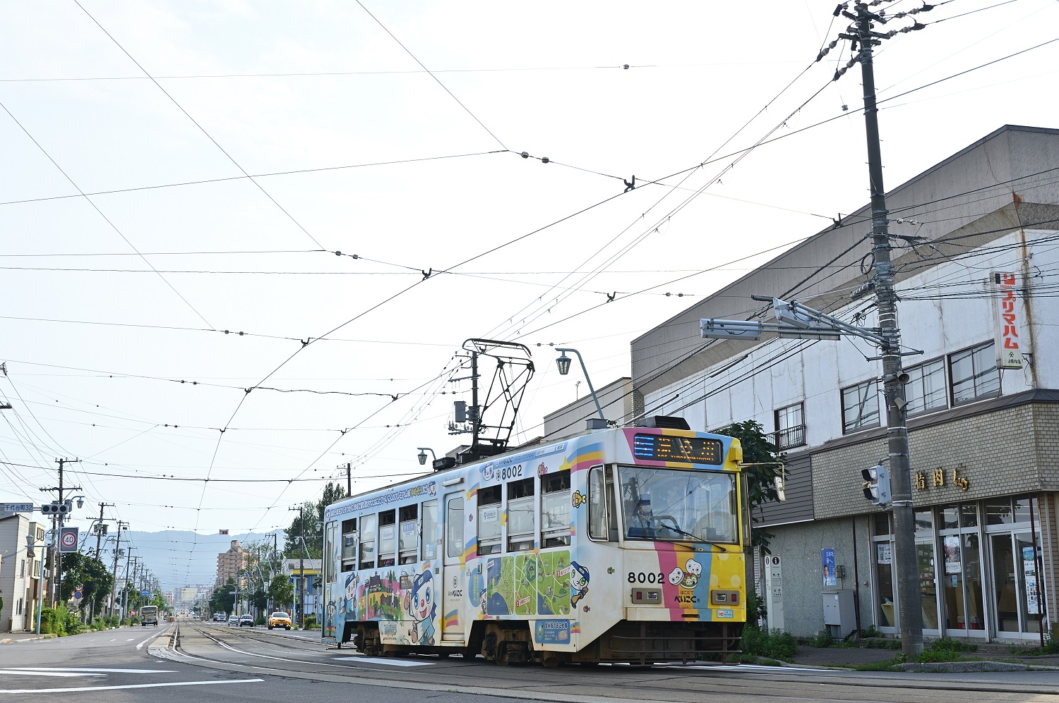 Хакодате, Hakodate series 8000 № 8002