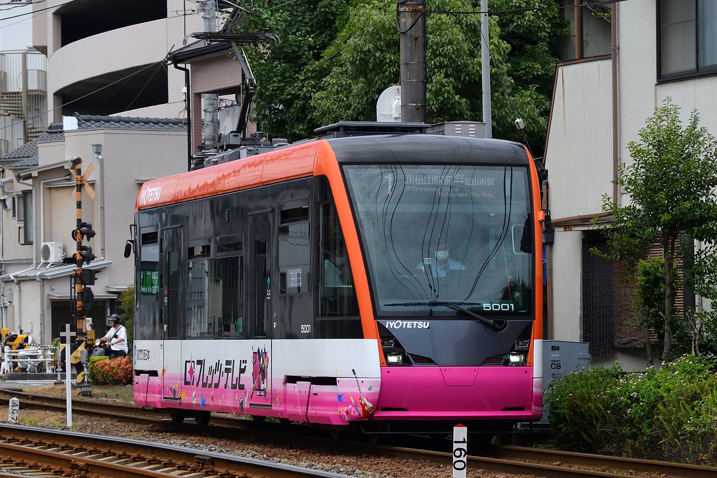 Мацуяма, Little Dancer S № 5001