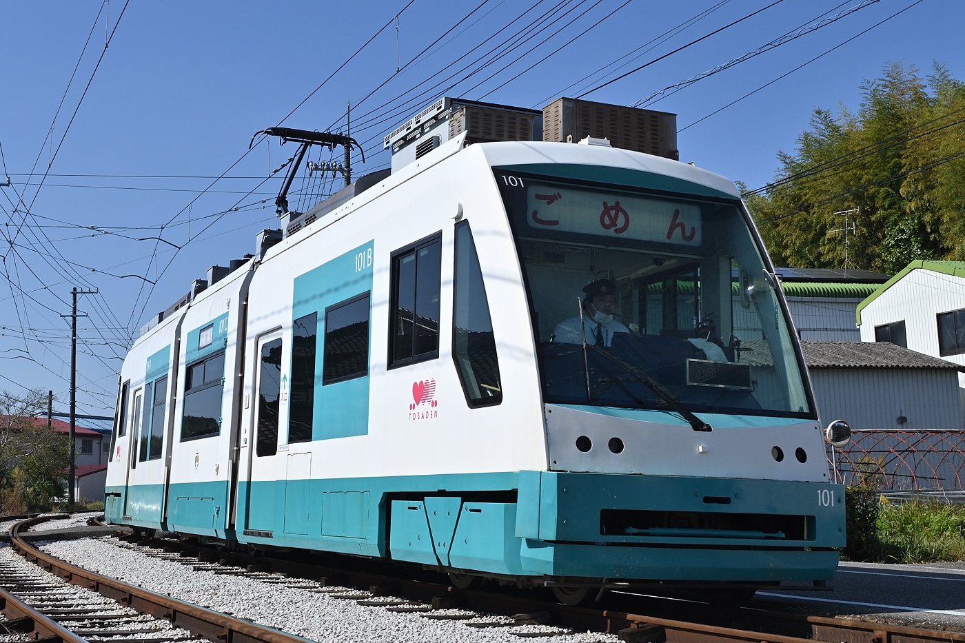 Коти, Little Dancer L № 101