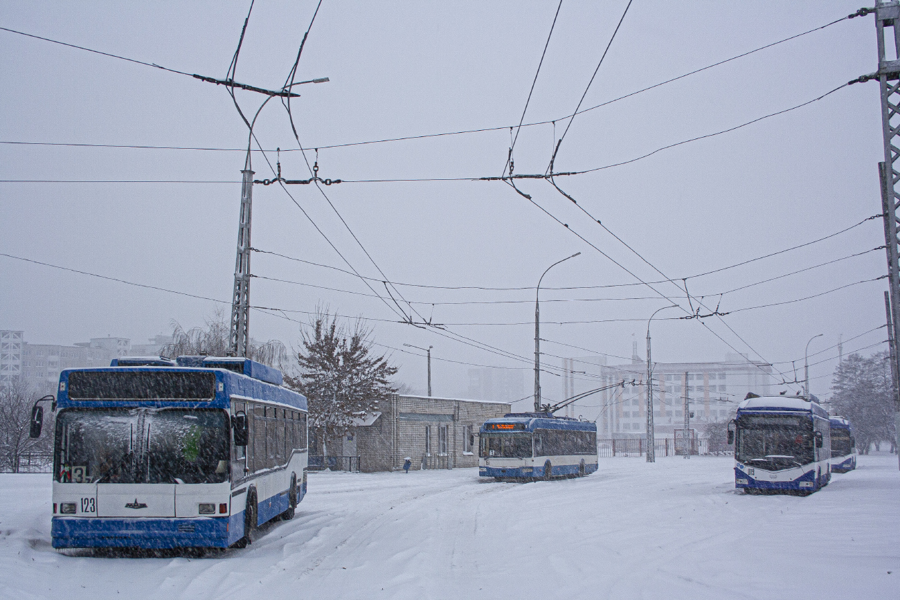 Брест, МАЗ-ЭТОН Т103 № 123; Брест, БКМ 32102 № 151; Брест, БКМ 321 № 019