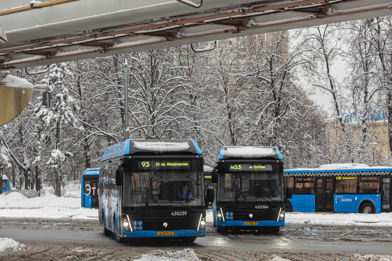 Москва, ЛиАЗ-6274 № 430239; Москва, ЛиАЗ-6274 № 430384