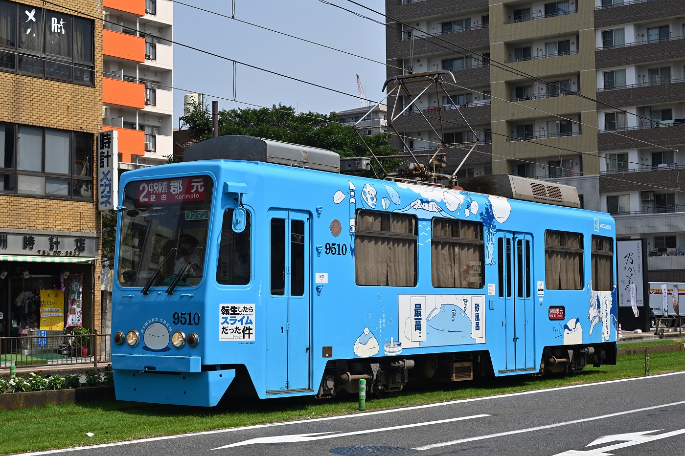 Кагосима, Aruna Kōki (общая модель) № 9510