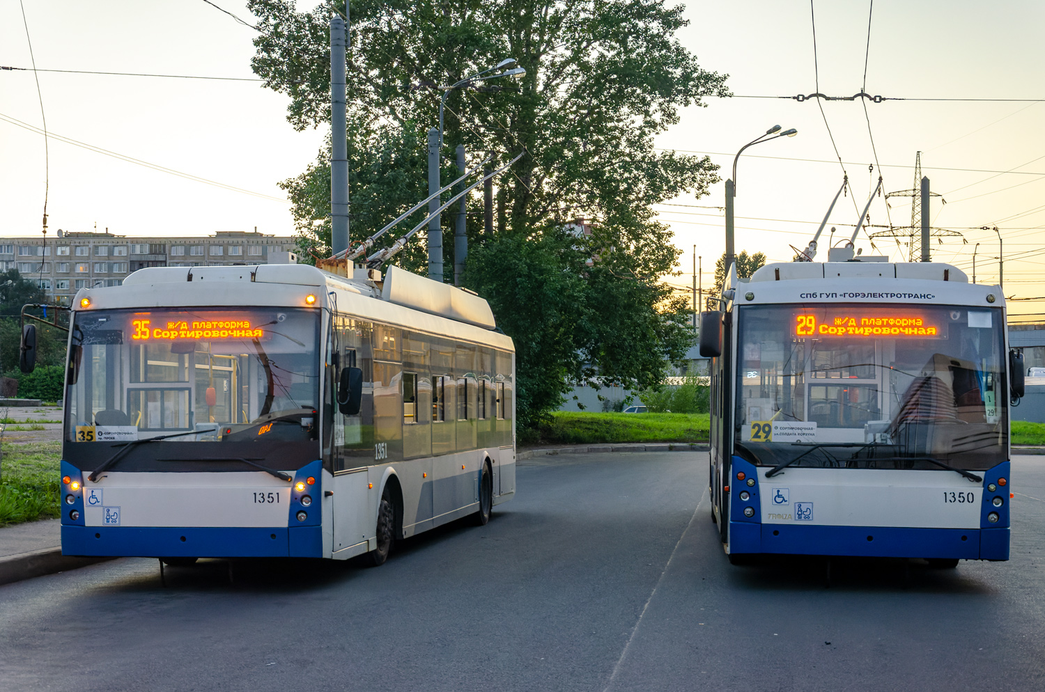 Санкт-Петербург, Тролза-5265.00 «Мегаполис» № 1351; Санкт-Петербург, Тролза-5265.00 «Мегаполис» № 1350