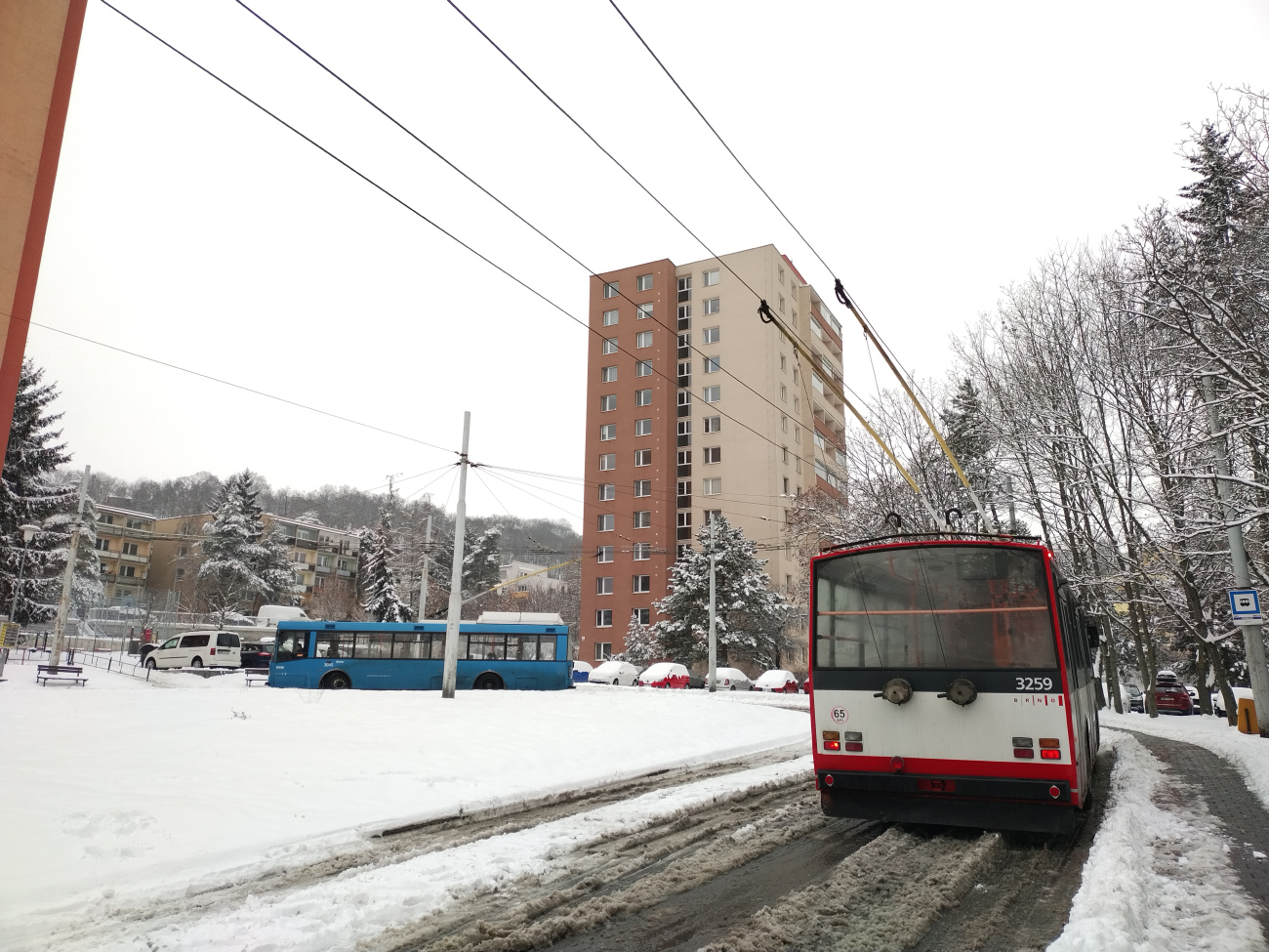 Брно, Škoda 14Tr14/6 № 3259