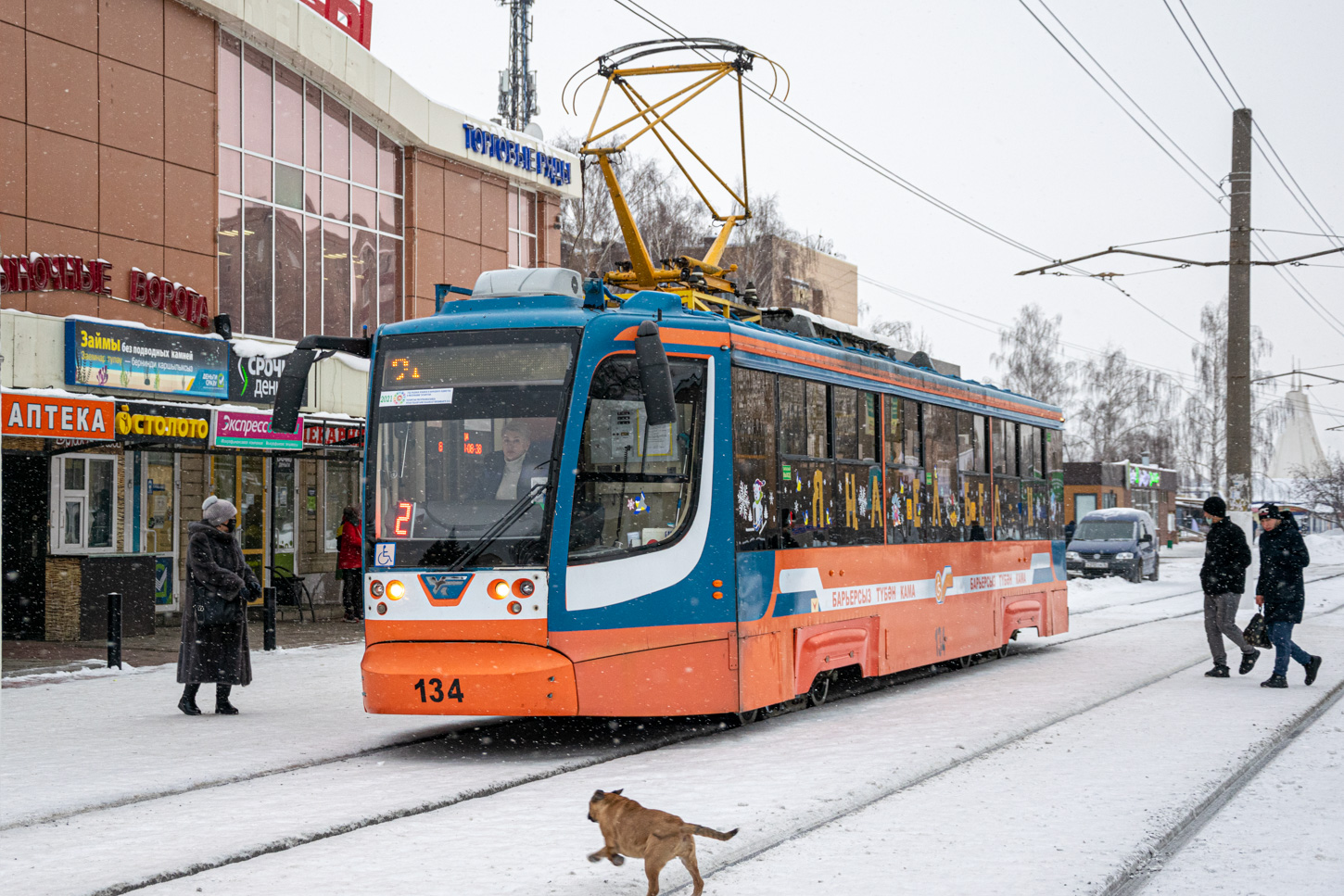 Нижнекамск, 71-623-01 № 134; Транспорт и животные