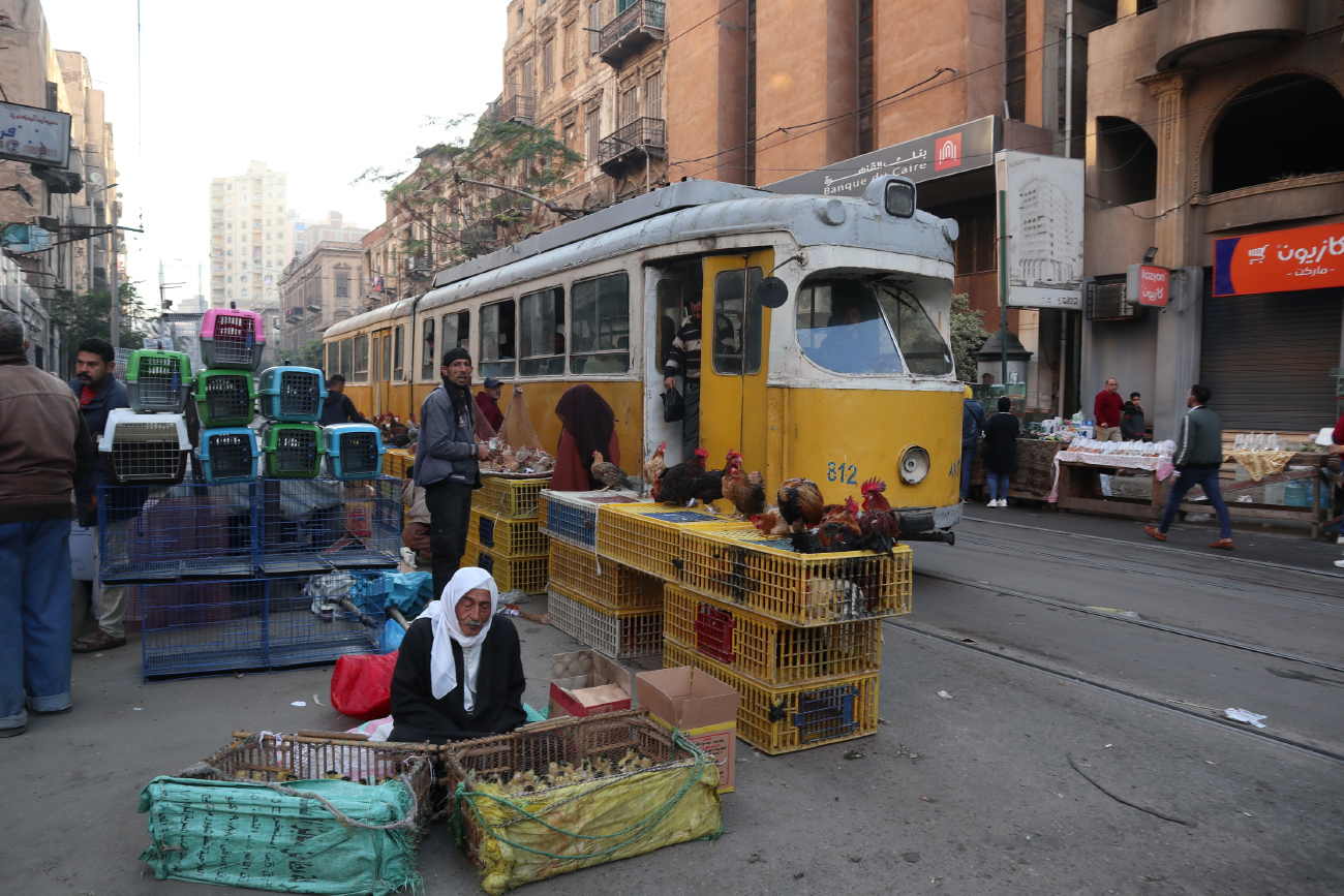 Alexandria, Duewag GT6 № 812; Transport and animals