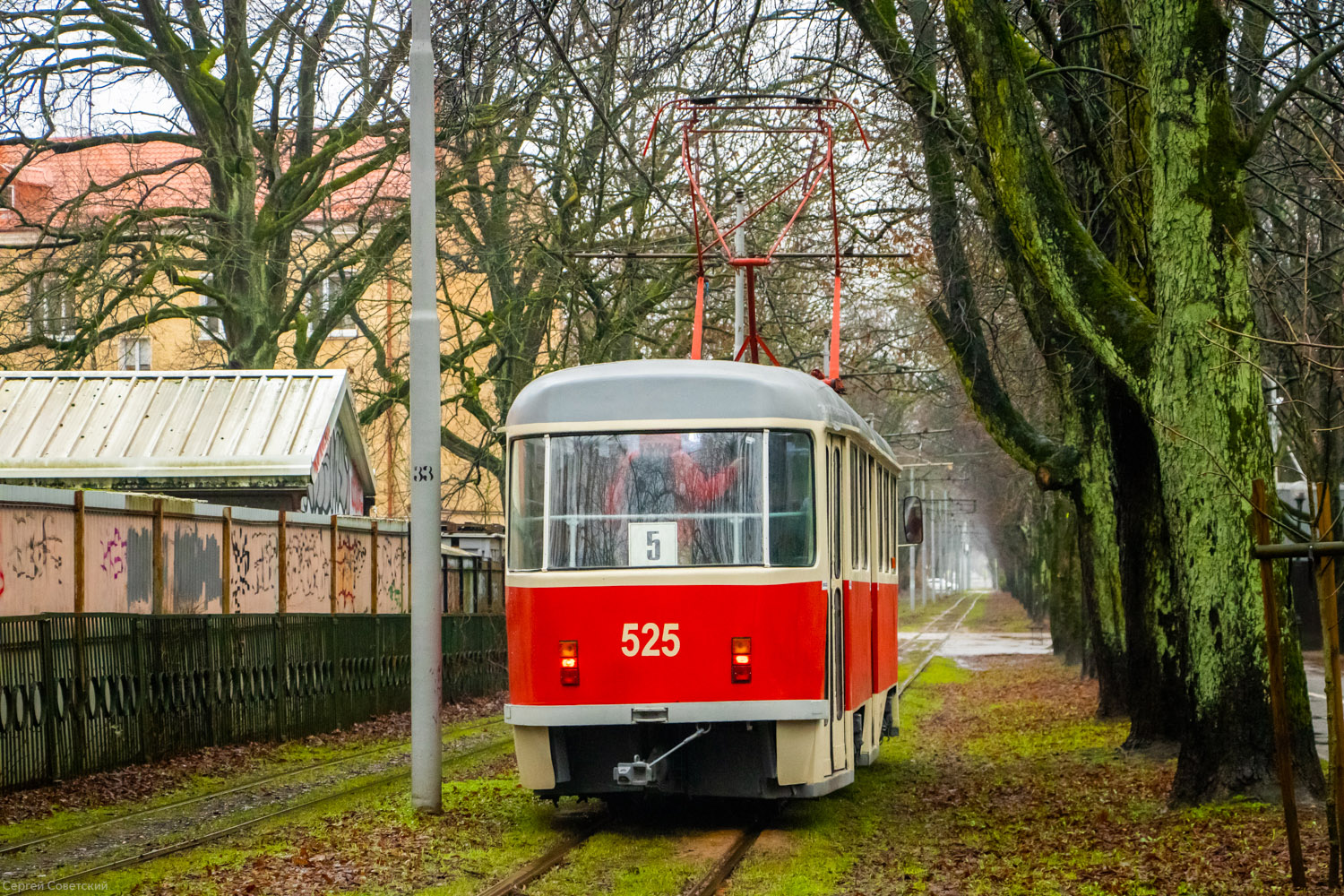 Калининград, Tatra T4D № 525