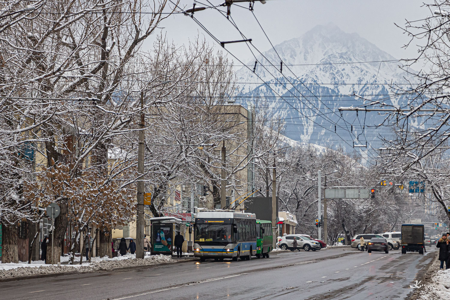 Алматы, YoungMan JNP6120GDZ (Neoplan Kazakhstan) № 1155