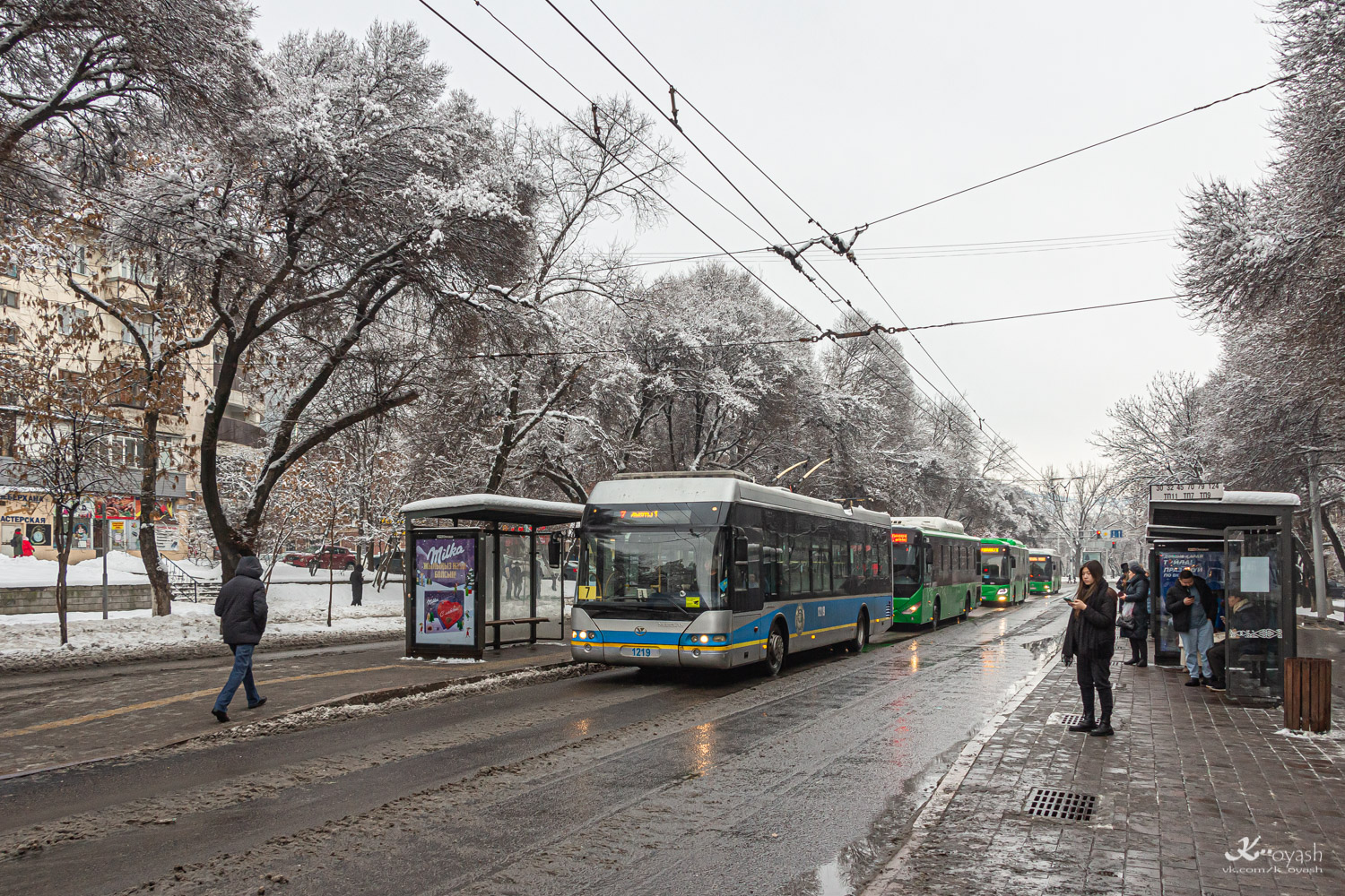 Алматы, YoungMan JNP6120GDZ (Neoplan Kazakhstan) № 1219