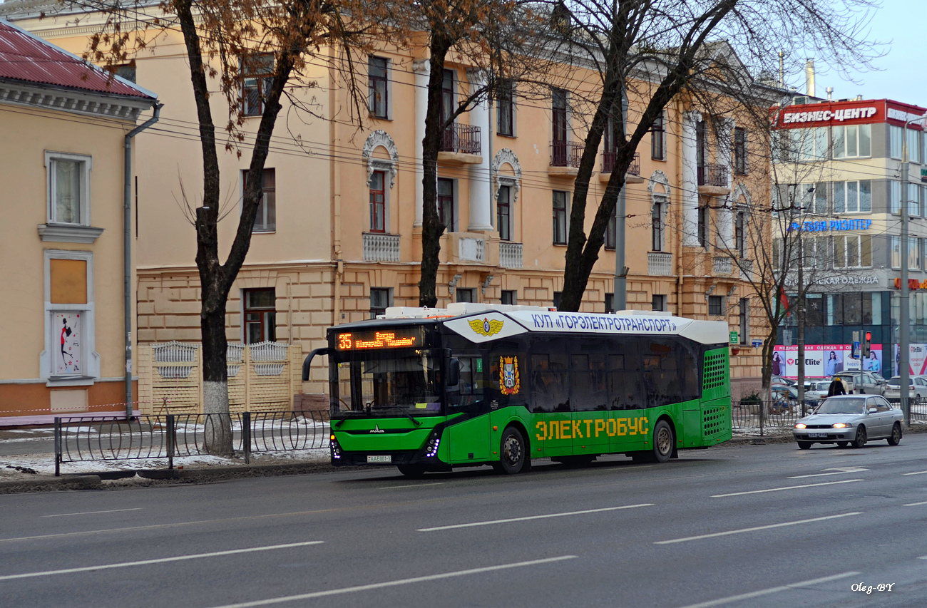 Homiel, MAZ-303E10 № 1858