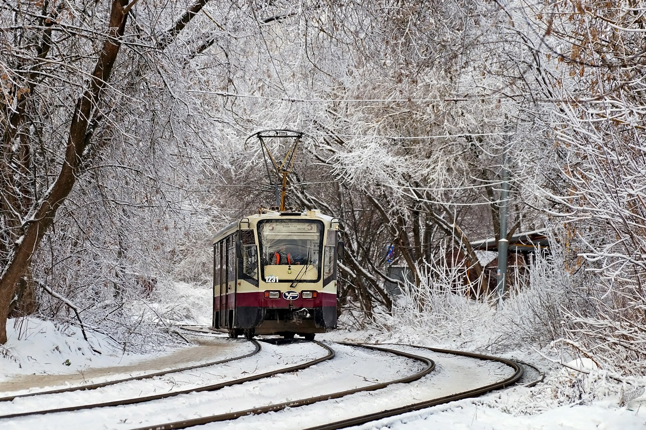 Нижний Новгород, 71-619К № 1231