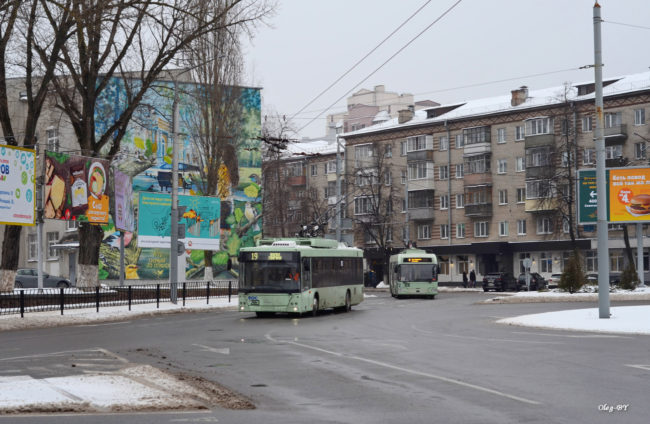 Гомель — Троллейбусные линии и инфраструктура