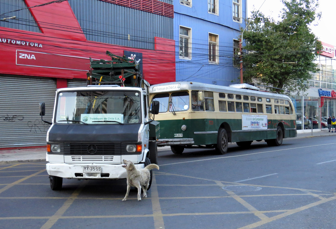 Valparaiso, Pullman-Standard TC-48 č. 723; Transport and animals